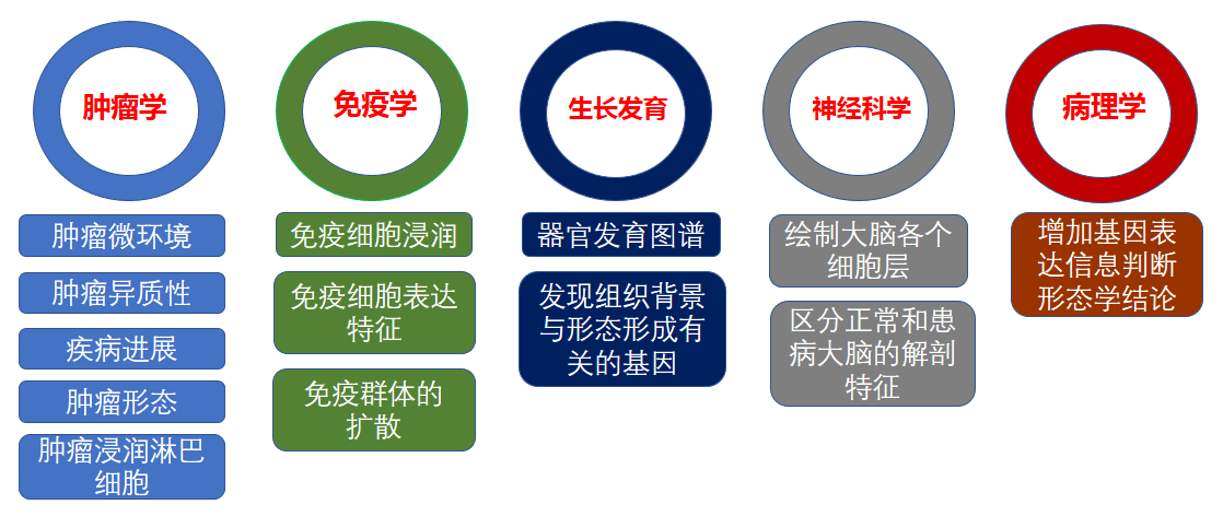 空间转录组技术应用方向